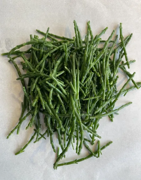 Samphire